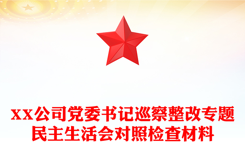 XX公司党委书记巡察整改专题民主生活会对照检查材料范文