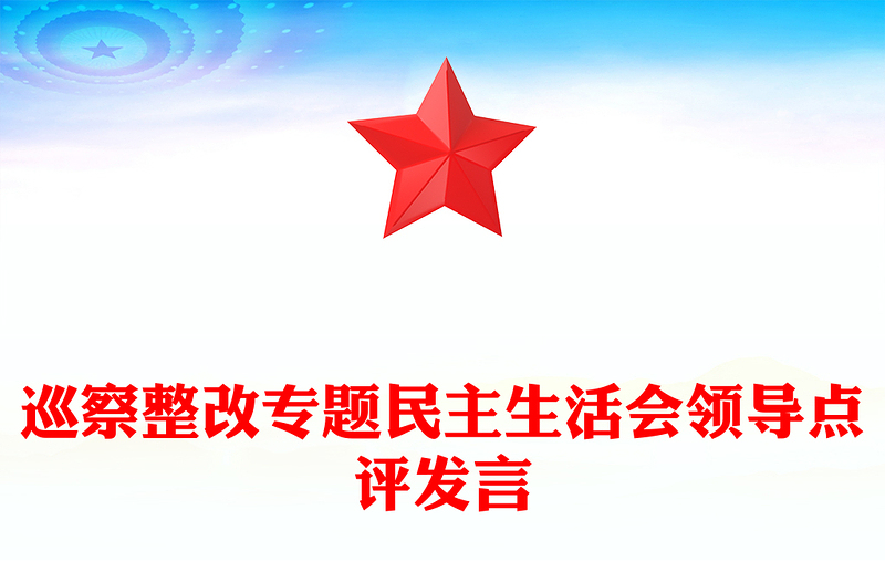 巡察整改专题民主生活会领导点评发言材料