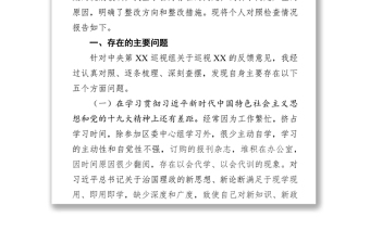 在巡视反馈意见整改专题民主生活会发言提纲范文