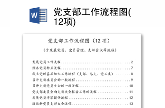 党支部工作流程图(12项)