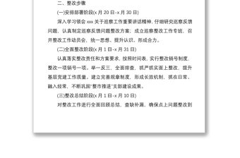 2024市基层党组织建设巡察反馈问题整改方案