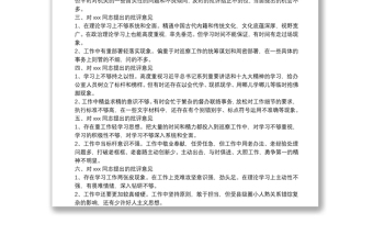 在巡视整改专题民主生活会上对市委巡察办班子成员的批评意见精选