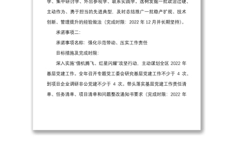 10篇承诺事项书记抓基层党建工作承诺事项清单范本10篇含事项名称目标措施完成时限书记项目参考