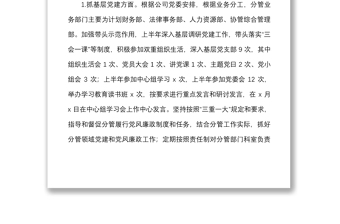 国企领导上半年履行党建工作一岗双责情况报告范本集团公司国有企业个人工作汇报总结