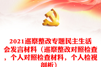 2024巡察整改专题民主生活会发言材料（巡察整改对照检查，个人对照检查材料，个人检视剖析）