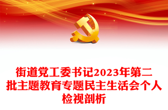 街道党工委书记2024年第二批主题教育专题民主生活会个人自我检视剖析发言稿