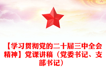 【学习贯彻党的二十届三中全会精神】党课讲话材料（党委书记、支部书记）